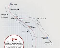 Image of 3 hook flapper rig diagram