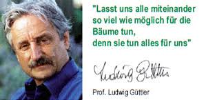 Mitglied werden | Baum des Jahres - Dr. Silvius Wodarz Stiftung