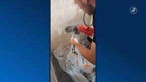 Hart van Nederland - News update