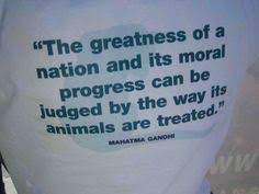 Zoology quotes on Pinterest | Mahatma Gandhi Quotes, Animal and ... via Relatably.com
