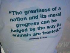 Zoology quotes on Pinterest | Mahatma Gandhi Quotes, Animal and ... via Relatably.com