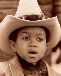 Résultat de recherche d'images pour "webster tv show"