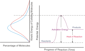 Image result for what affects the potential energy of particles