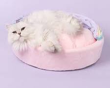 cat lying on a Nordic style cushionの画像