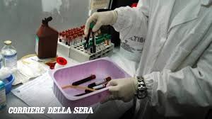 Trend Google: siberia peste polmonare