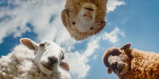 ‘The Sheep Detectives' review: Hugh Jackman gets upstaged by sheep in this unexpectedly funny mystery