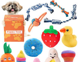 Hình ảnh về Dog toys