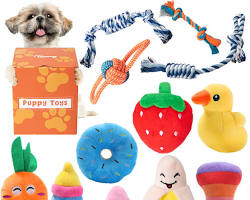 dog toysの画像