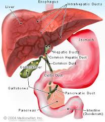Gallbladder Stones