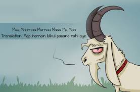 Image result for bakra eid funny images