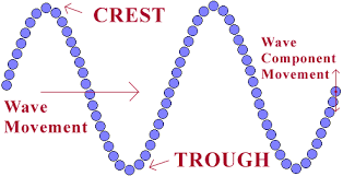 Image result for a Longitudinal wave and a Transverse wave.