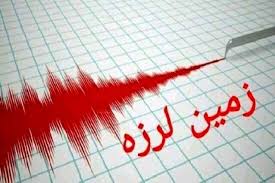 سی سخت لرزید