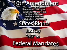 Image result for immigration 10th amendment