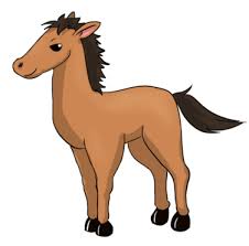 Image result for HORSE