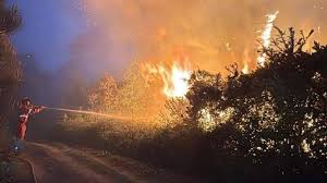 Incendio Pisa : ce qu'il faut savoir — image 4