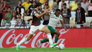 Palmeiras Vs Fluminense