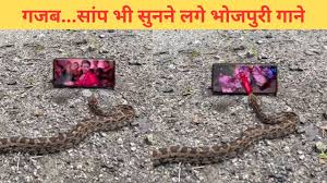 TV9 Bharatvarsh - News update