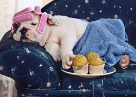 Image result for thank god it's friday