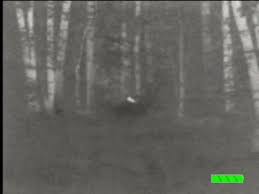 Image result for ORANG GADANG