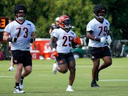 Samaje Perine vs. Tahj Brooks: Who Will Be the Bengals' RB2 in 2025?