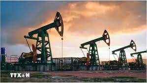 Các nước OPEC+ có thể duy trì mức cắt giảm sản lượng dầu