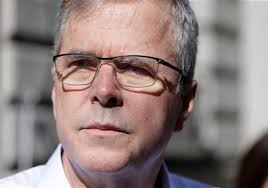 Image result for jeb bush
