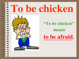Image result for animals idioms
