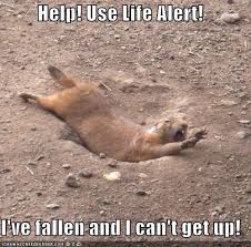 Résultat de recherche d'images pour "help i've fallen and i can't get up"