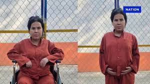 ภาพประกอบ