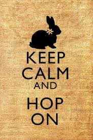 Bunny Quotes on Pinterest | Happy Bunny Quotes, Grav3yardgirl ... via Relatably.com