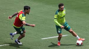 Palmeiras Online