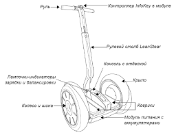 Картинки по запросу Сегве́й