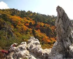 剣山の紅葉の画像