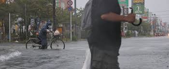 台風 被害