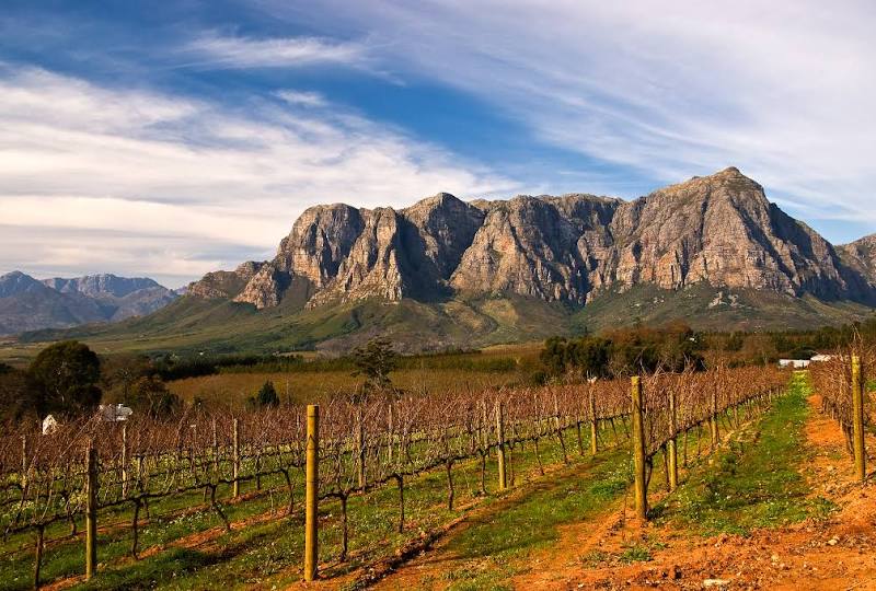 Stellenbosch