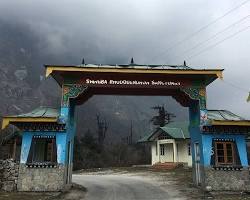 Shingba Rhododendron Sanctuary, North Sikkim