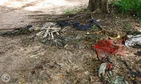 Image result for cambodia history killing fields