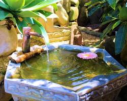 Hình ảnh về zen garden with water feature and honed stone elements