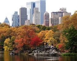 Image of Central Park in Autumn