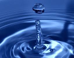 Resultado de imagen para importancia del agua