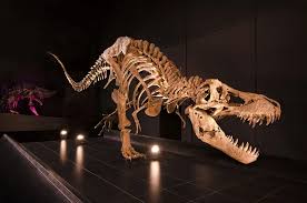 ¿Los dinosaurios se extinguieron por una ‘ola de calor’? Un nuevo estudio pone en jaque la teoría tradicional