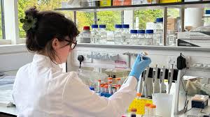 hantavirus outbreak wales