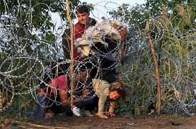 Resultado de imagen de refugiados sirios en europa