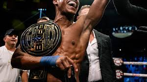 MMA Junkie - News update