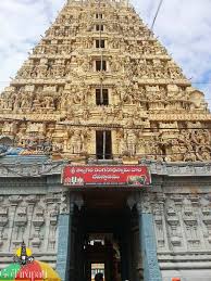 Image result for nellore ranganayaka temple