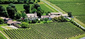 Image result for CHATEAU CANTINOT ORBITE
