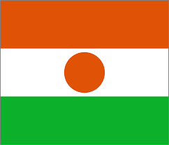 Algeria vs. Niger Lineups, Live Streaming, How & Where to Watch on TV - Athlon Sports