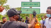 LandWey’s Isimi Lagos contributes to the UN’s SDG goals with Tree Farm Initiativ