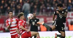 اليوم السابع