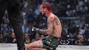 UFC 324: Sean O'Malley vs. Song Yadong odds, picks and predictions